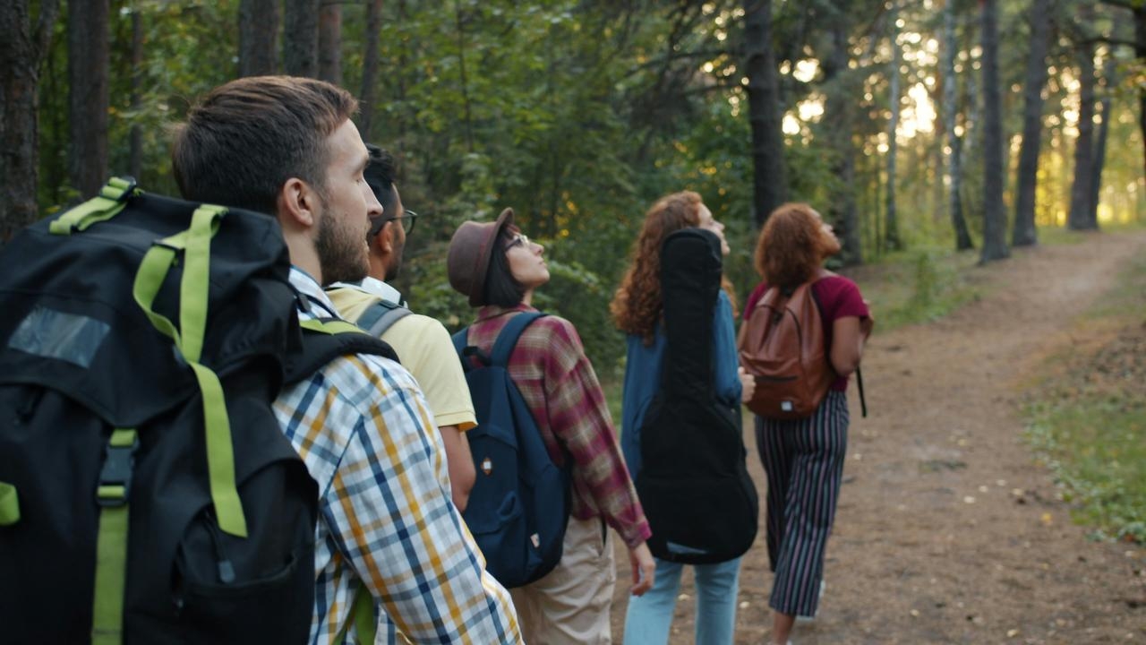 Im Wald gibt es viel zu sehen beim Wandern