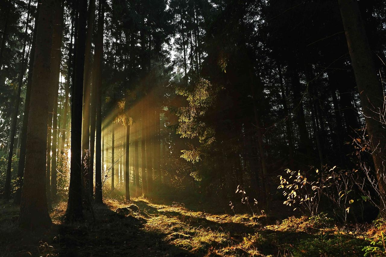 Schwarzwald reizt mit beeindruckenden Landschaften