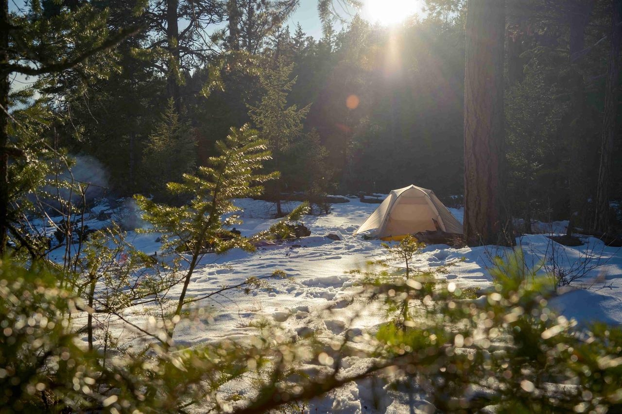 Zelt beim Winter-Camping im Wald